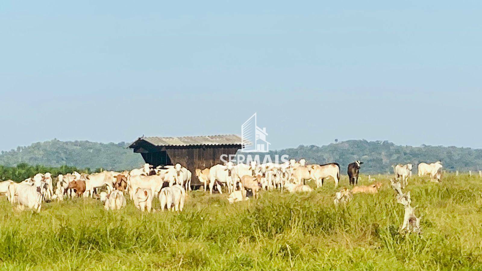 Fazenda à venda, 562M2 - Foto 9