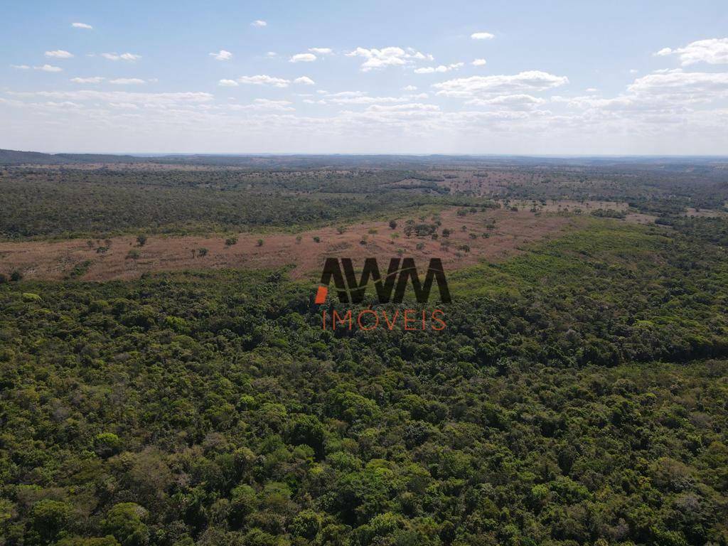 Fazenda-Sítio-Chácara, 707 hectares - Foto 14