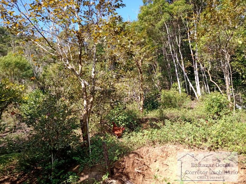 Fazenda à venda com 6 quartos, 29000m² - Foto 14