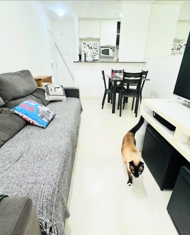 Apartamento à venda e aluguel com 3 quartos, 63m² - Foto 9