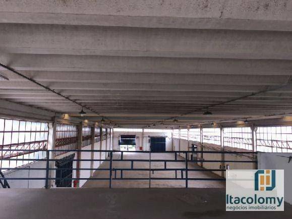 Depósito-Galpão, 3619 m² - Foto 4