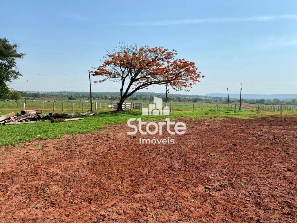 Fazenda à venda com 3 quartos, 2420000M2 - Foto 5