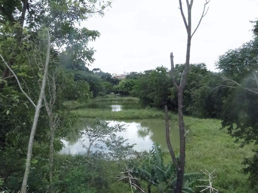 Terreno à venda, 59000M2 - Foto 2