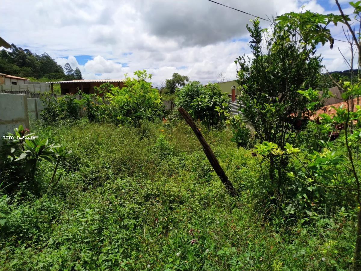 Fazenda à venda com 2 quartos, 700m² - Foto 9