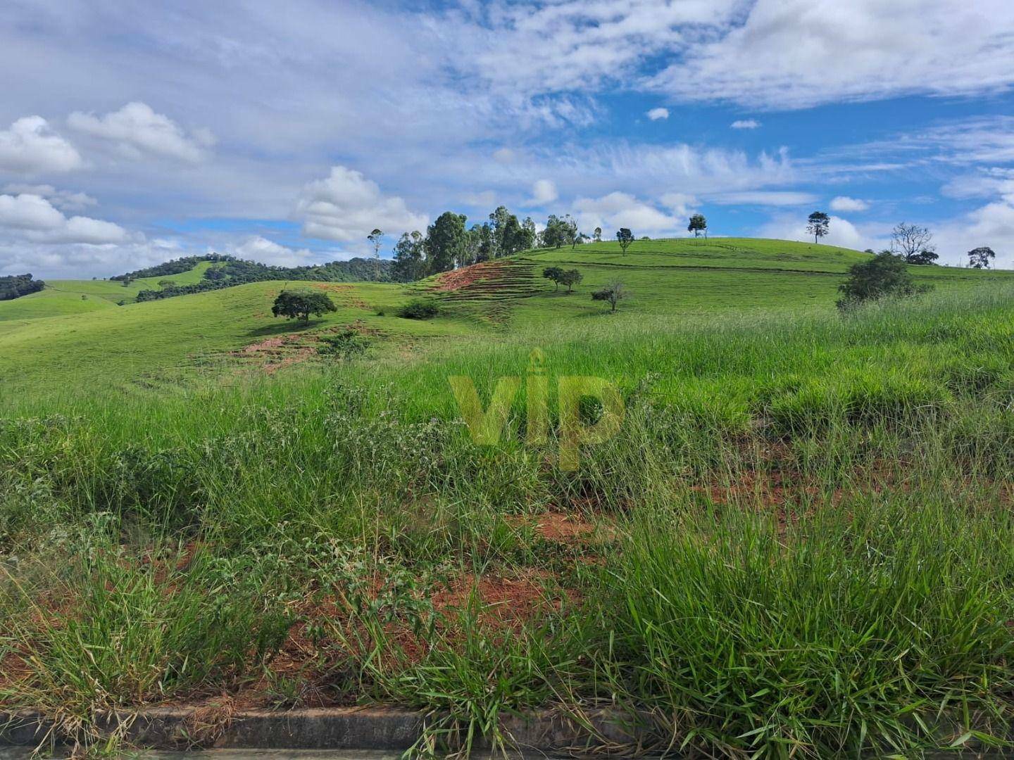 Terreno à venda, 226M2 - Foto 2