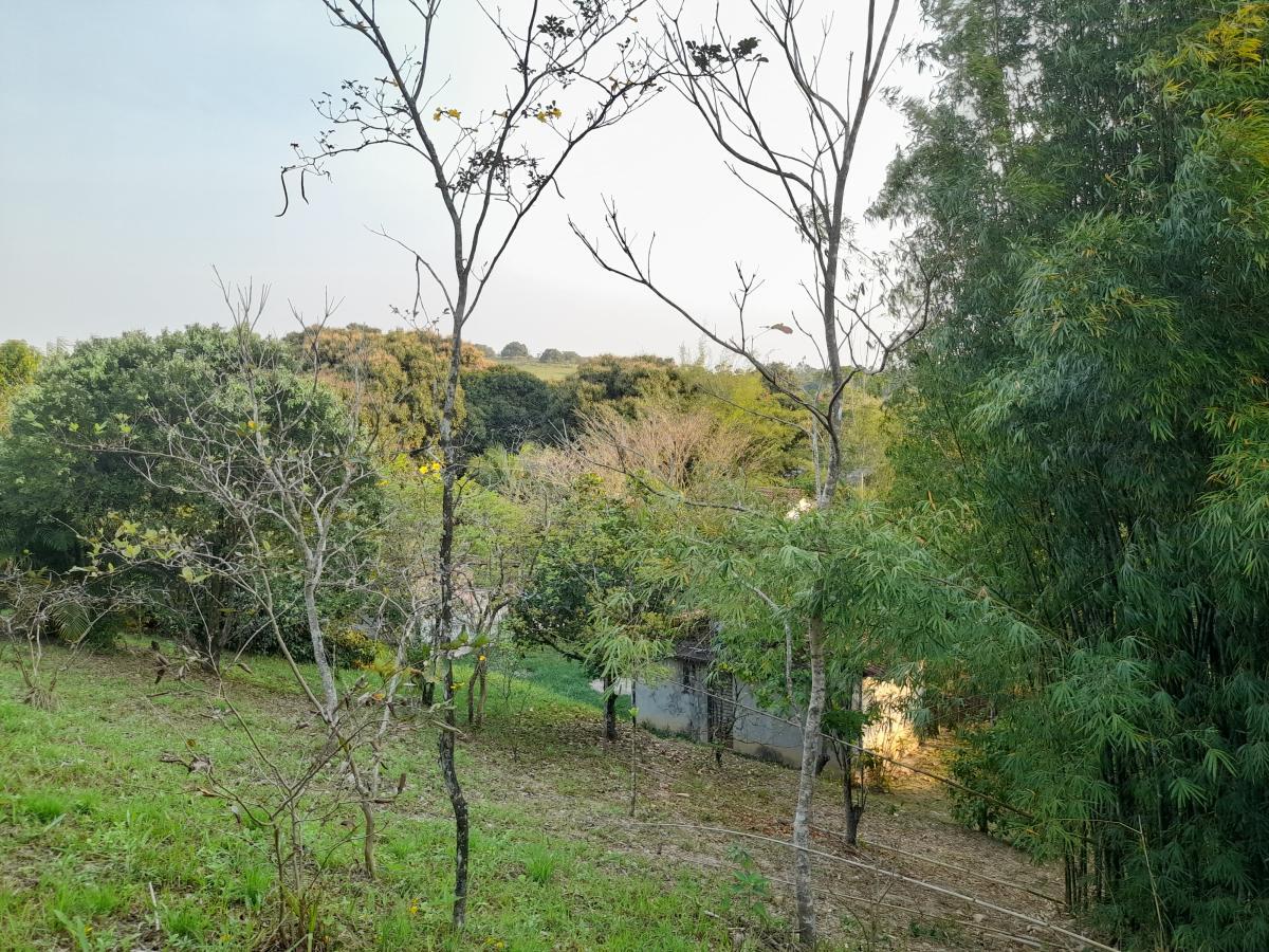 Chácara à venda com 2 quartos, 4000m² - Foto 19