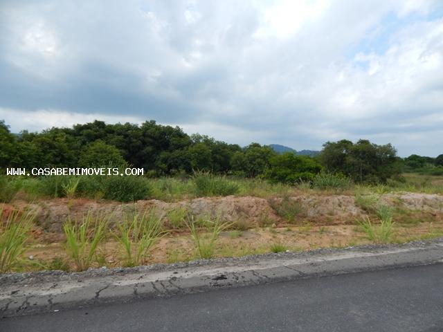 Terreno à venda, 30000m² - Foto 5