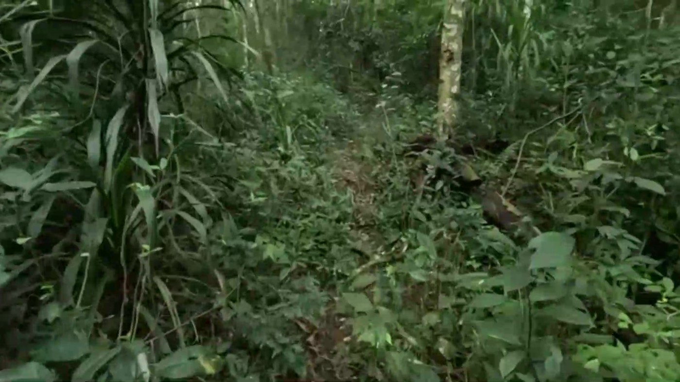 Chácara à venda com 2 quartos, 17500m² - Foto 30