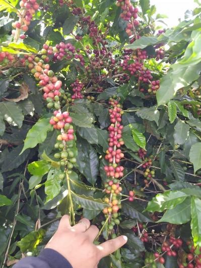 Fazenda-Sítio-Chácara, 137 m² - Foto 4