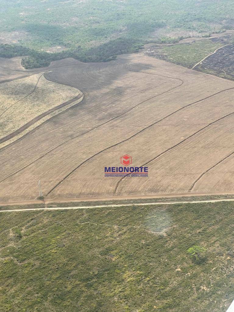 Fazenda à venda com 1 quarto, 12390000M2 - Foto 10