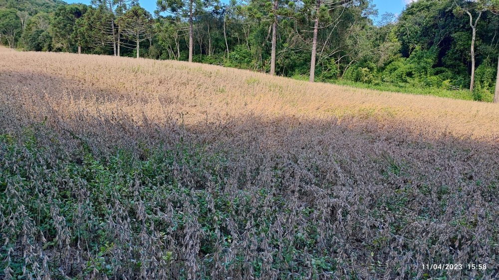 Fazenda à venda, 9m² - Foto 18