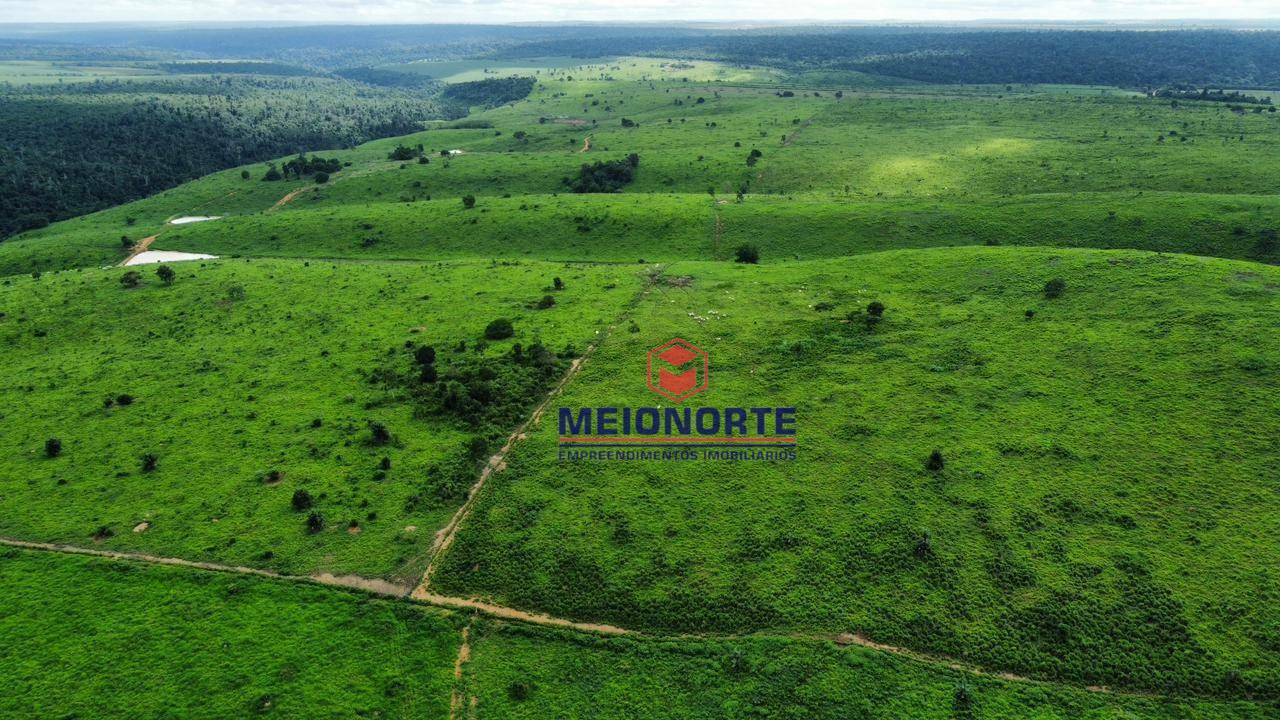 Fazenda à venda com 4 quartos, 4800000M2 - Foto 1