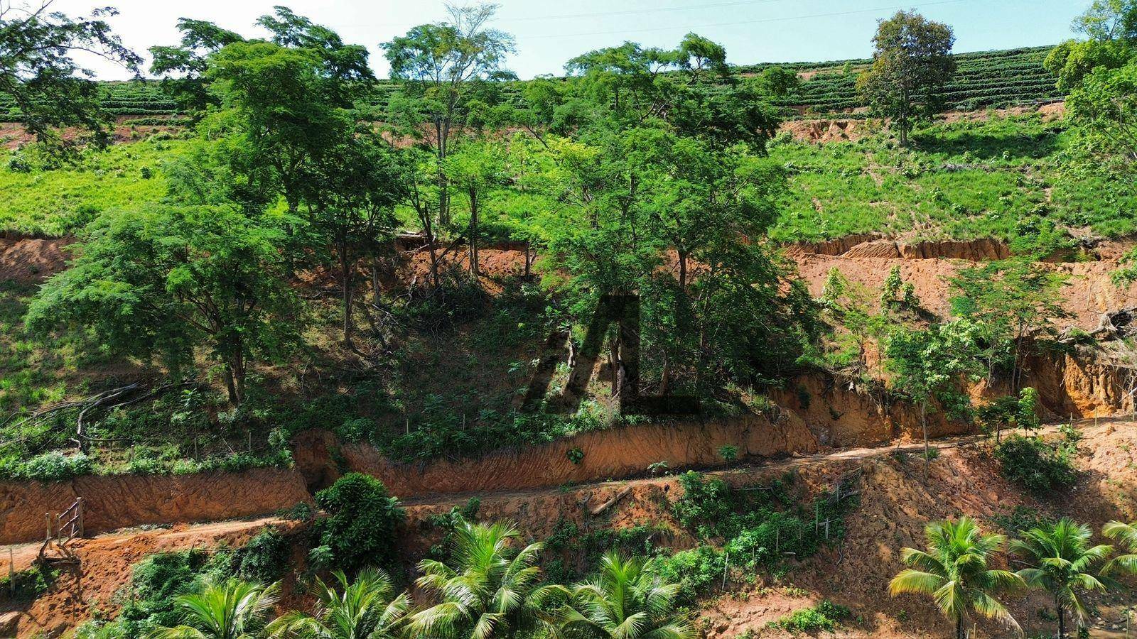 Fazenda à venda, 822800M2 - Foto 3