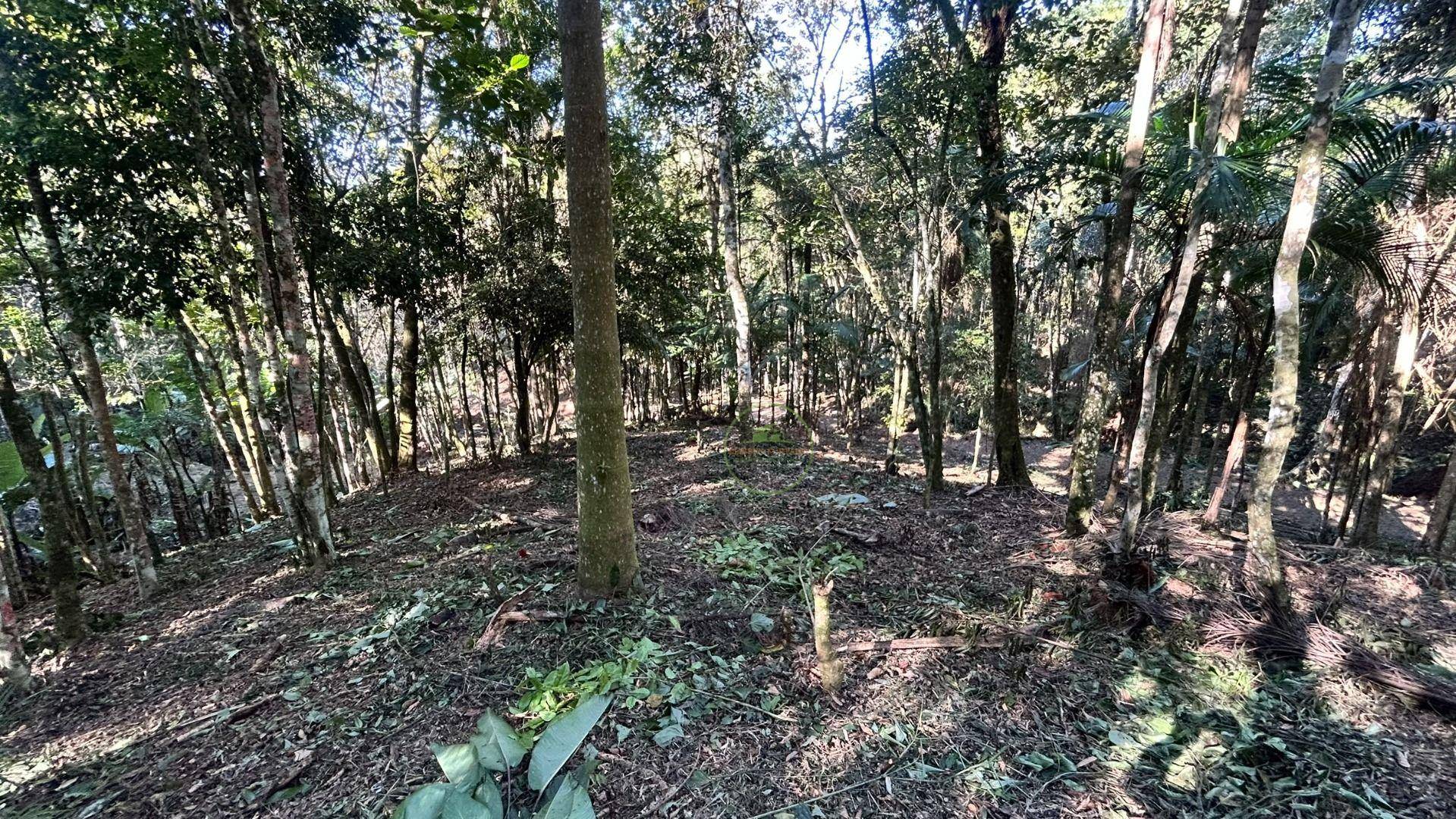 Terreno, 10000 m² - Foto 10