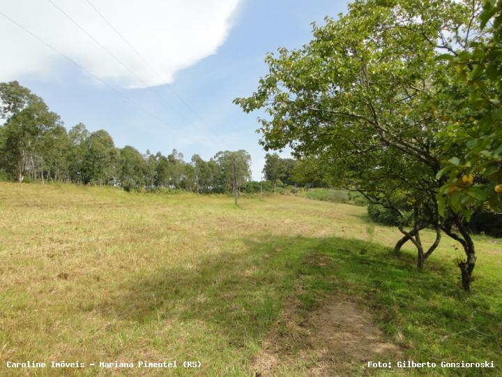 Fazenda à venda com 3 quartos, 24172m² - Foto 19