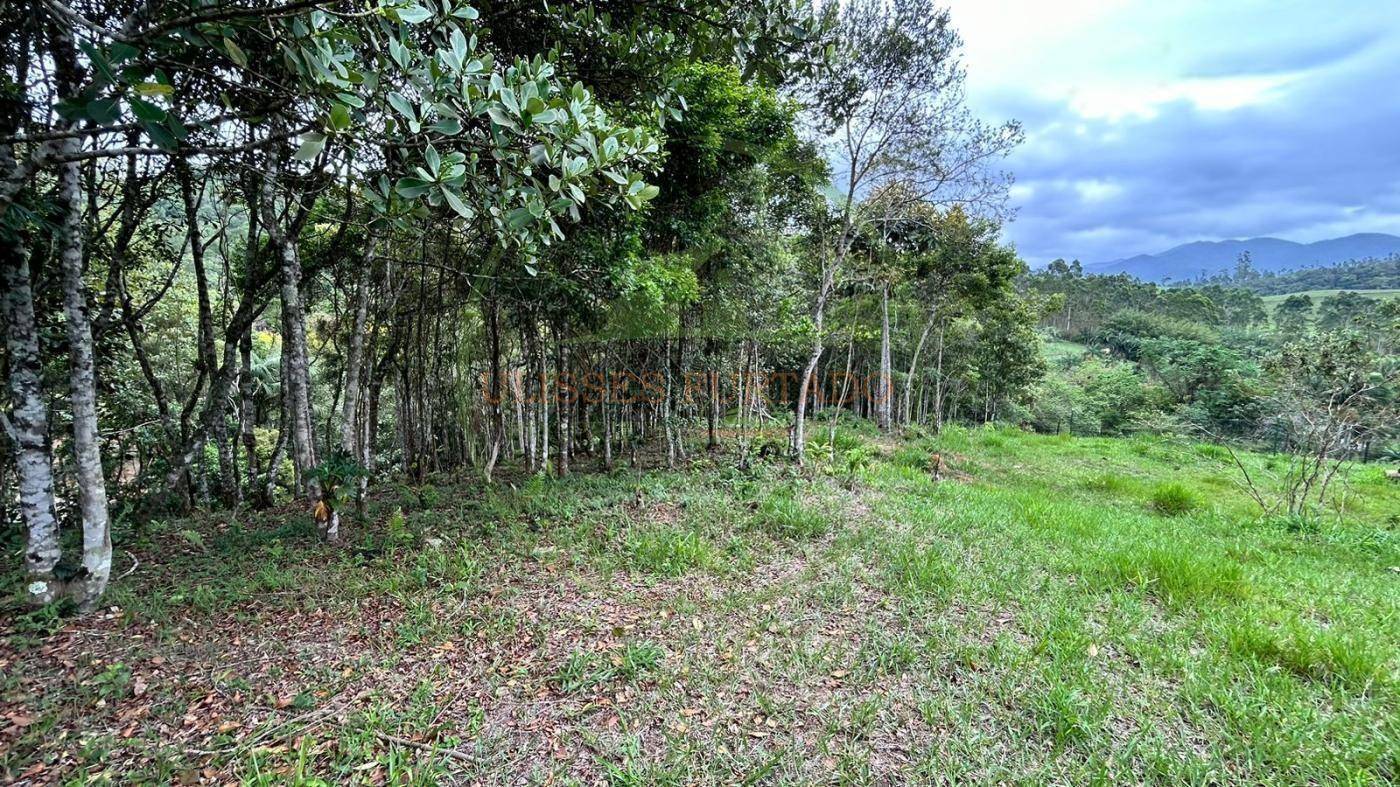 Terreno, 10000 m² - Foto 2