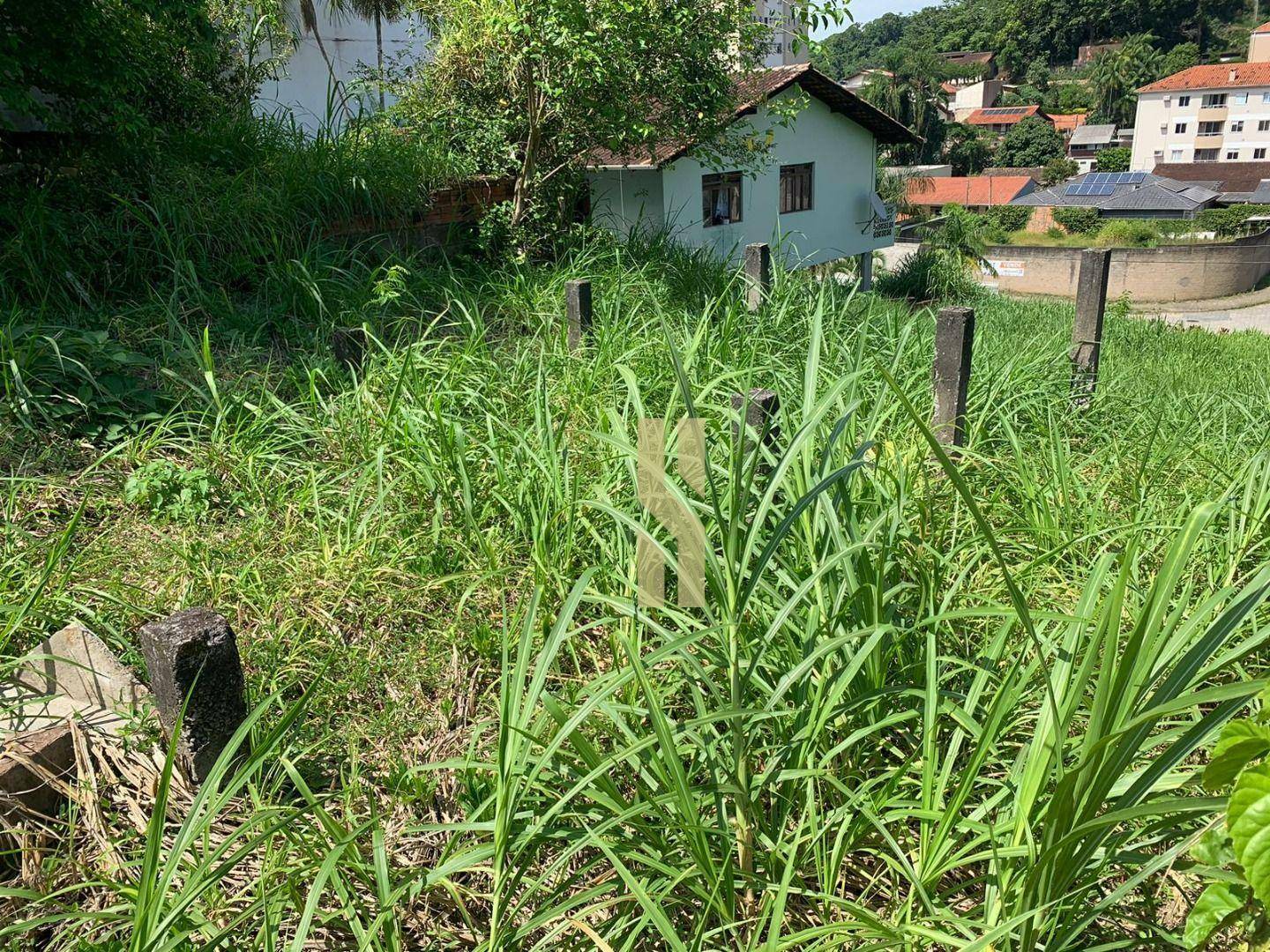 Terreno à venda, 607M2 - Foto 6