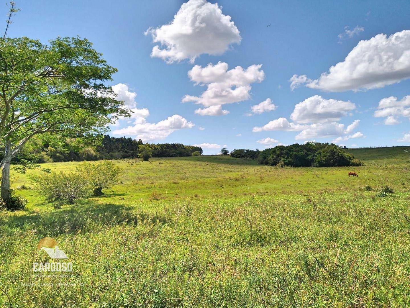 Fazenda à venda, 3160000M2 - Foto 20