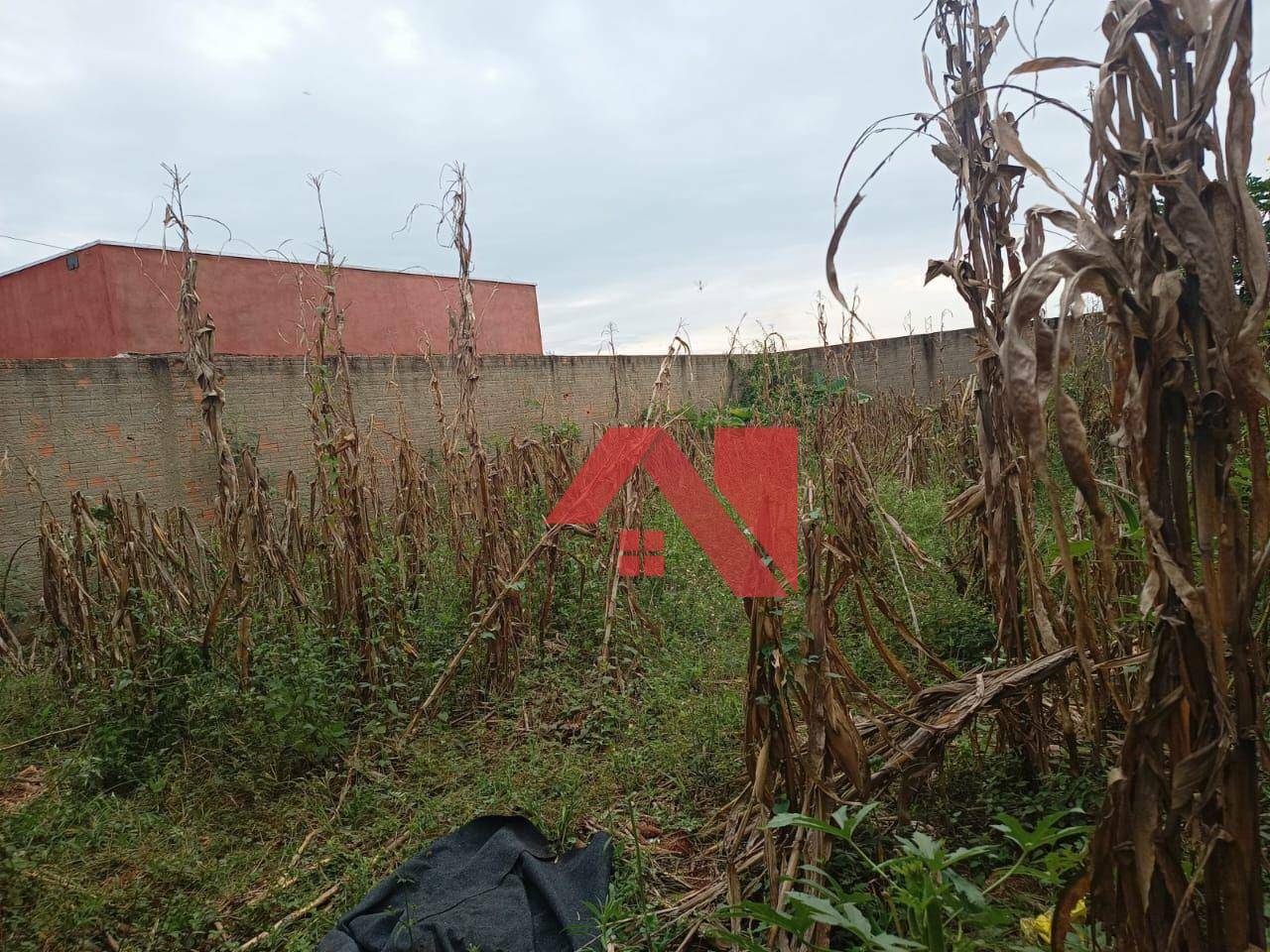 Terreno, 200 m² - Foto 2