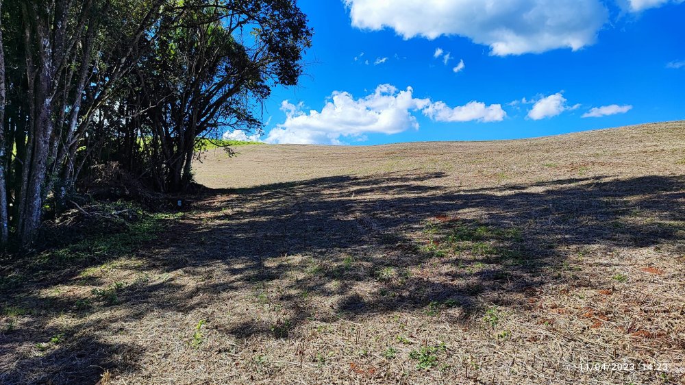 Fazenda à venda, 9m² - Foto 13