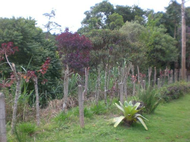 Terreno à venda, 6258M2 - Foto 4