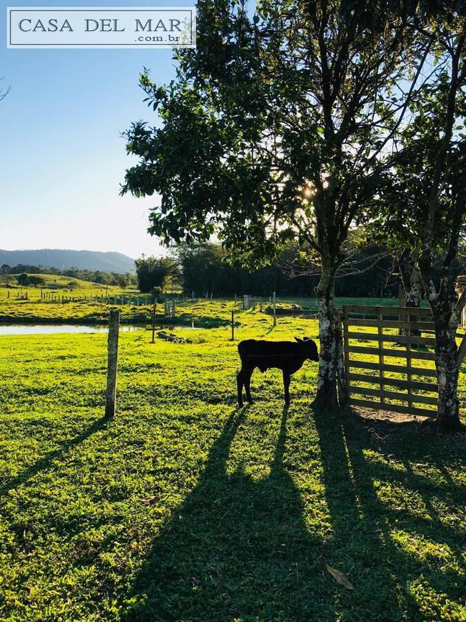 Fazenda à venda com 5 quartos, 160m² - Foto 30