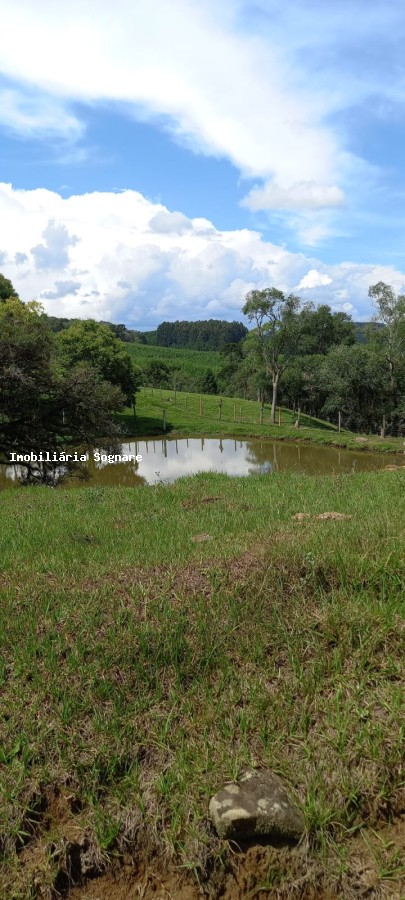 Terreno à venda - Foto 19