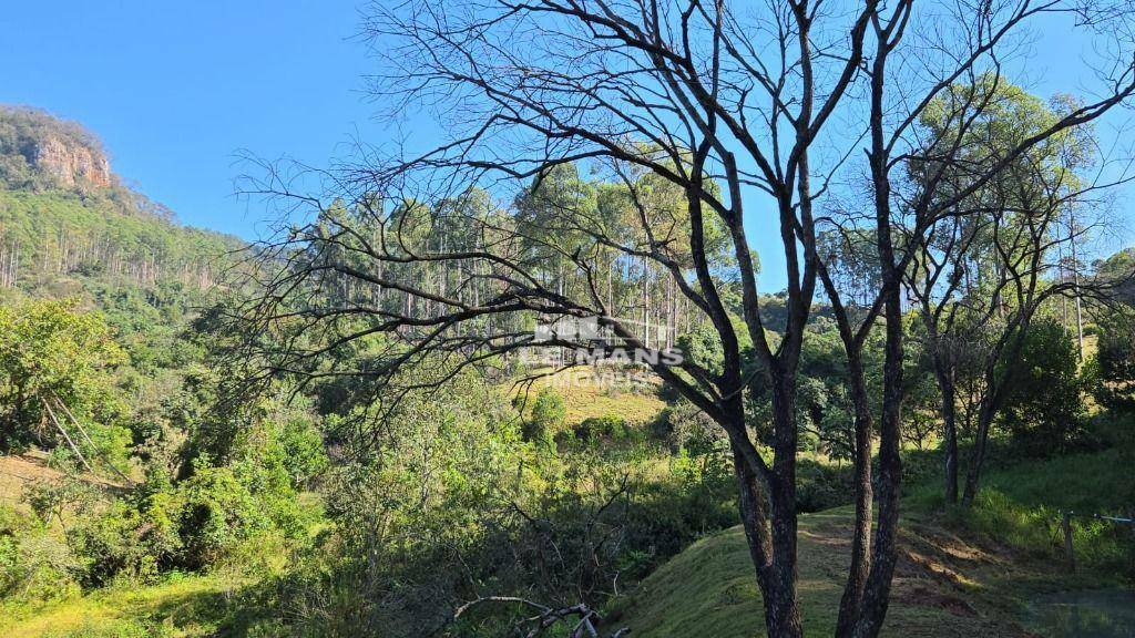 Fazenda à venda com 2 quartos, 400m² - Foto 21