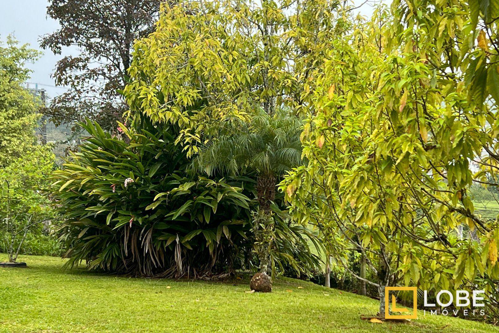 Terreno, 1750 m² - Foto 10