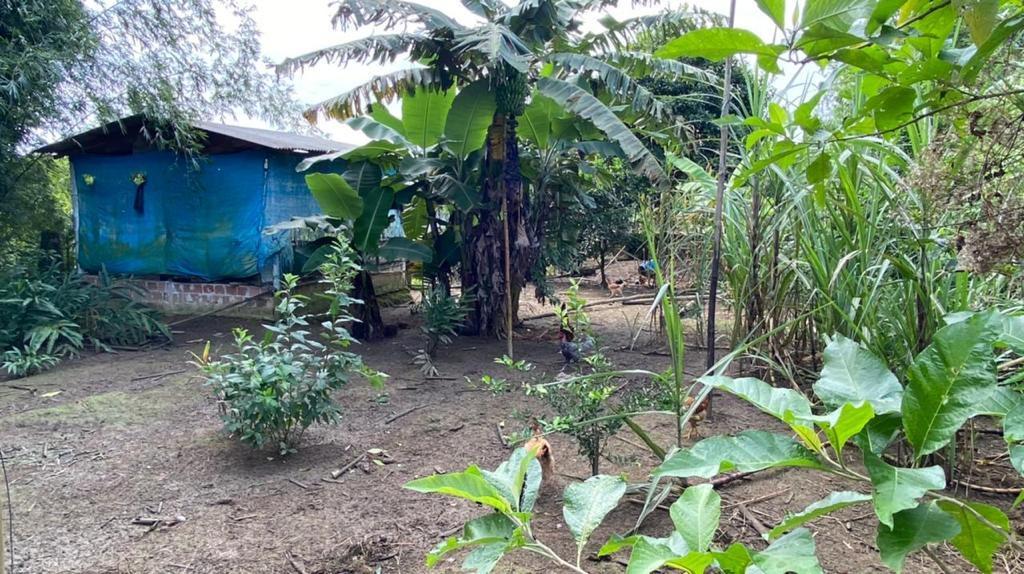 Chácara à venda com 3 quartos, 12000m² - Foto 57