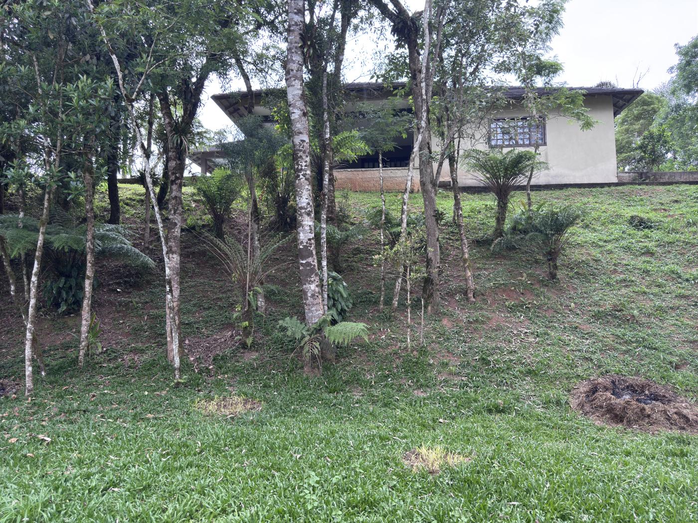 Chácara à venda com 4 quartos, 15000m² - Foto 51