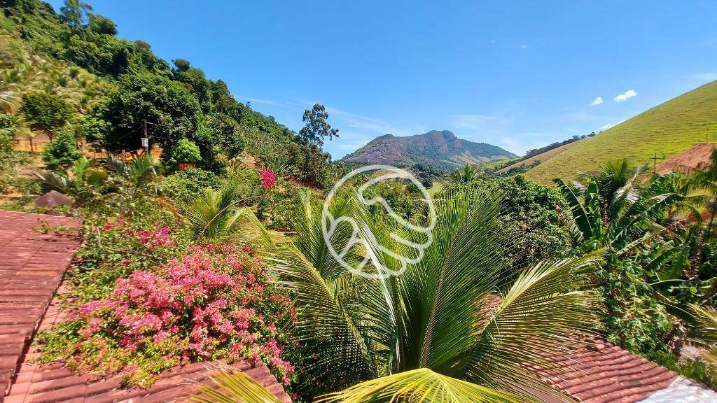 Sítio, 9 quartos, 3 hectares - Foto 24