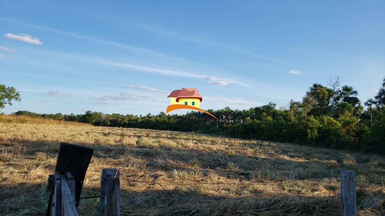 Fazenda à venda, 1m² - Foto 61