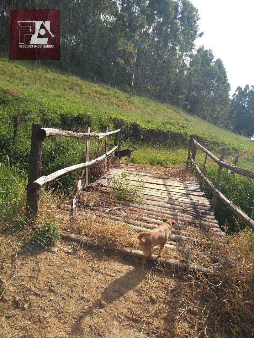 Fazenda à venda com 4 quartos, 1452000M2 - Foto 43