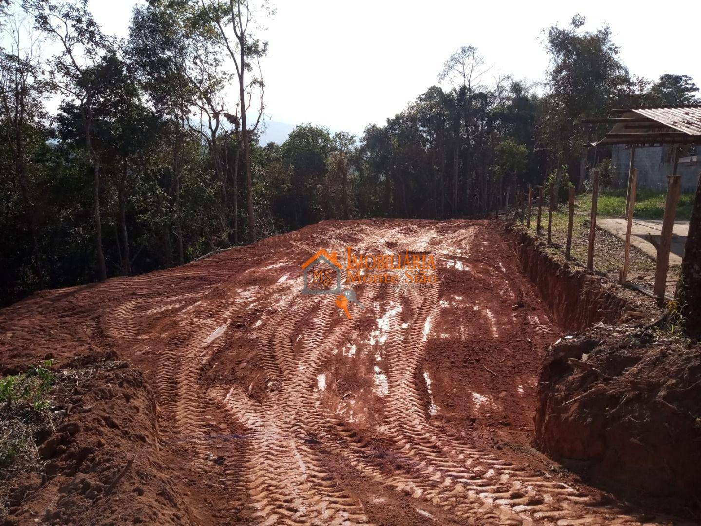 Terreno à venda, 5000M2 - Foto 3
