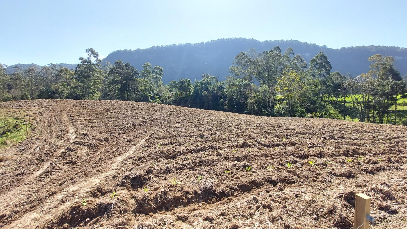 Fazenda à venda com 4 quartos, 101500m² - Foto 23