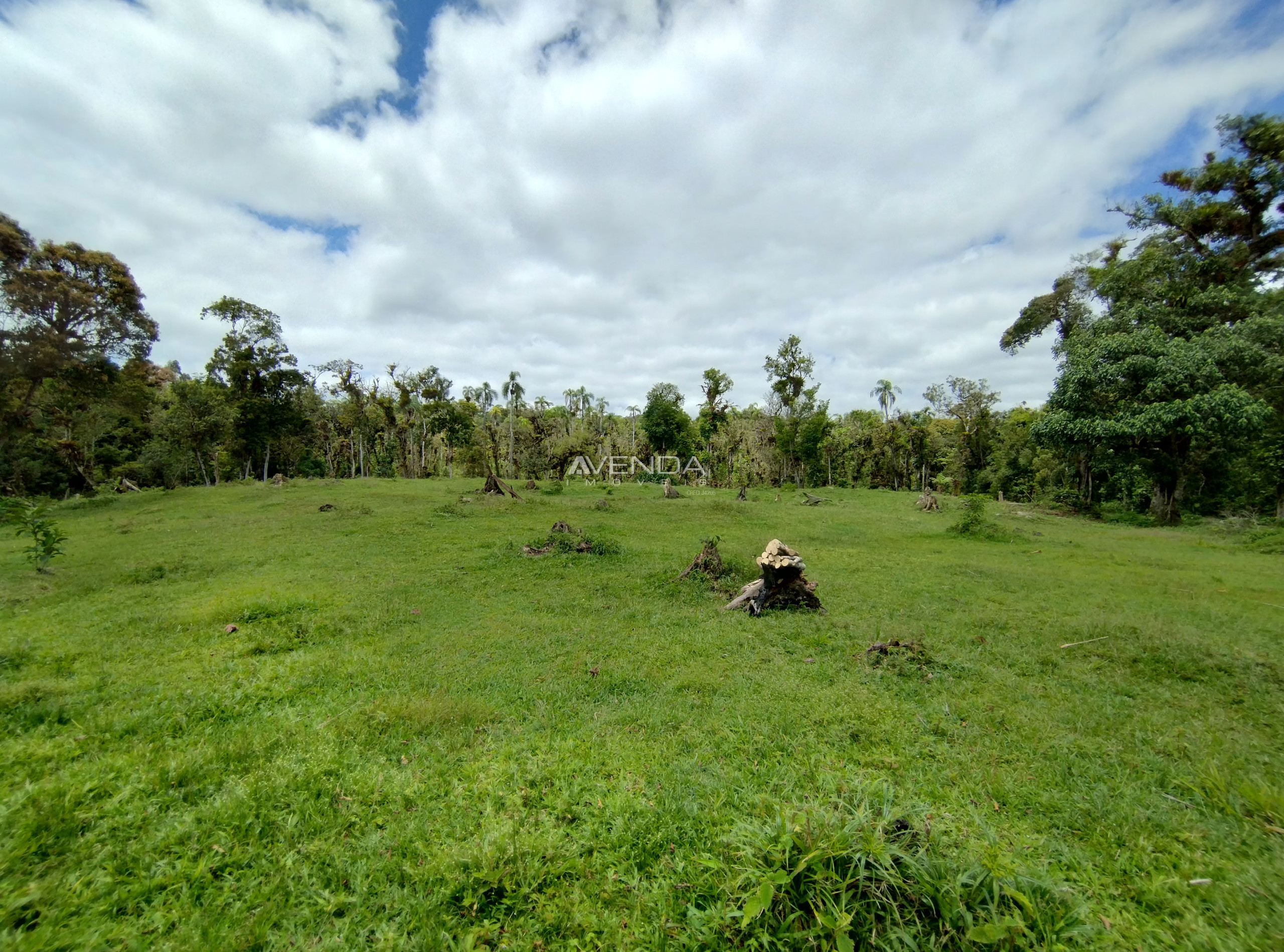 Fazenda à venda com 6 quartos, 208036m² - Foto 10