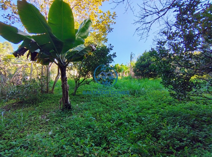 Chácara à venda com 2 quartos, 2400m² - Foto 18