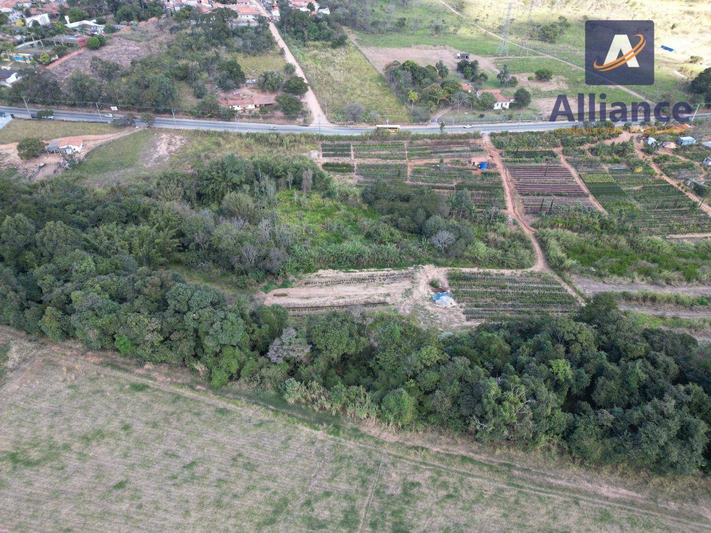 Terreno à venda, 41000M2 - Foto 3