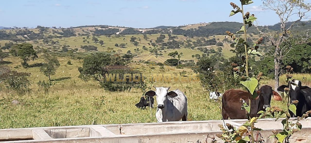 Fazenda à venda, 447m² - Foto 1