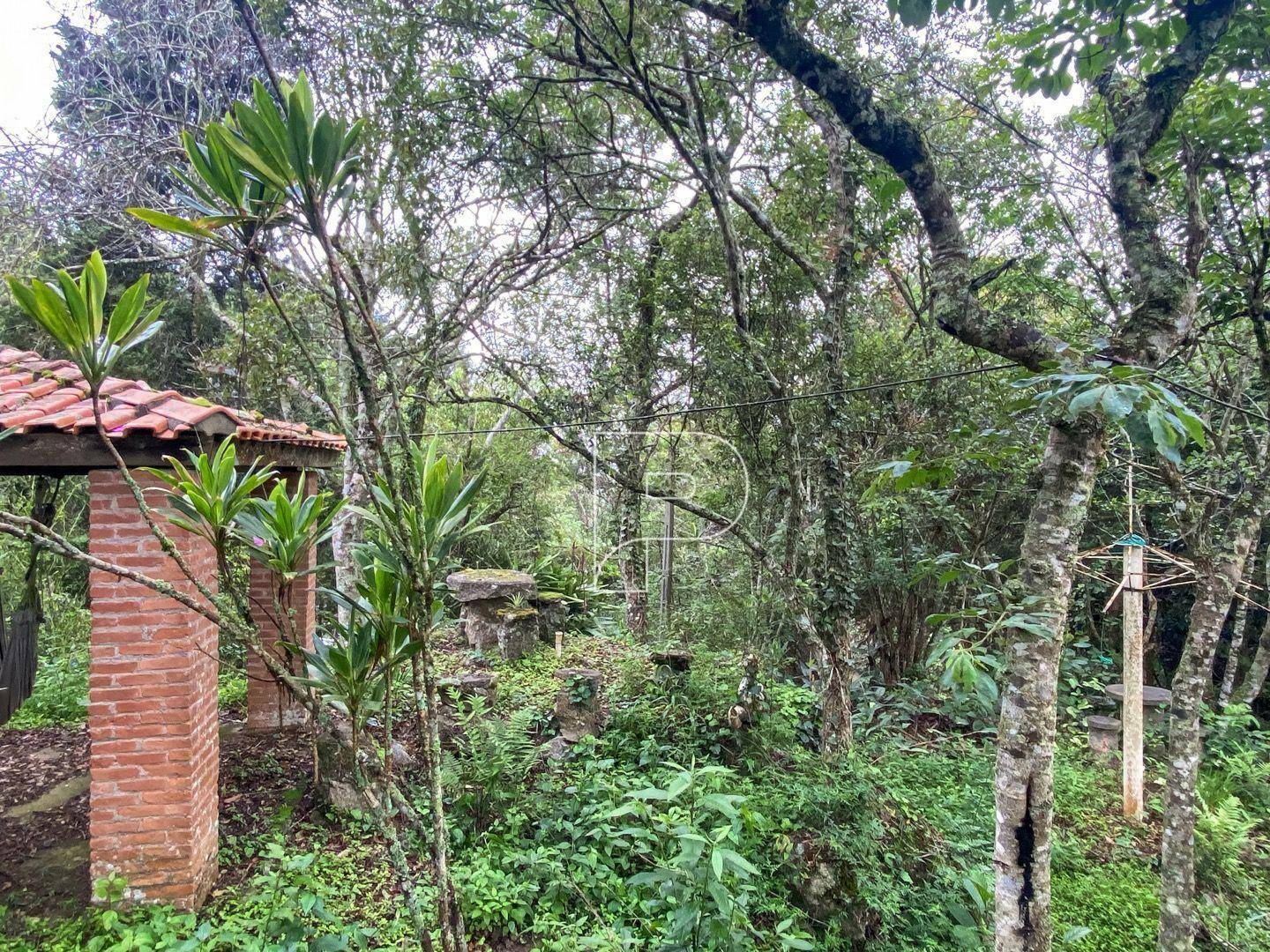 Terreno à venda, 3146M2 - Foto 12