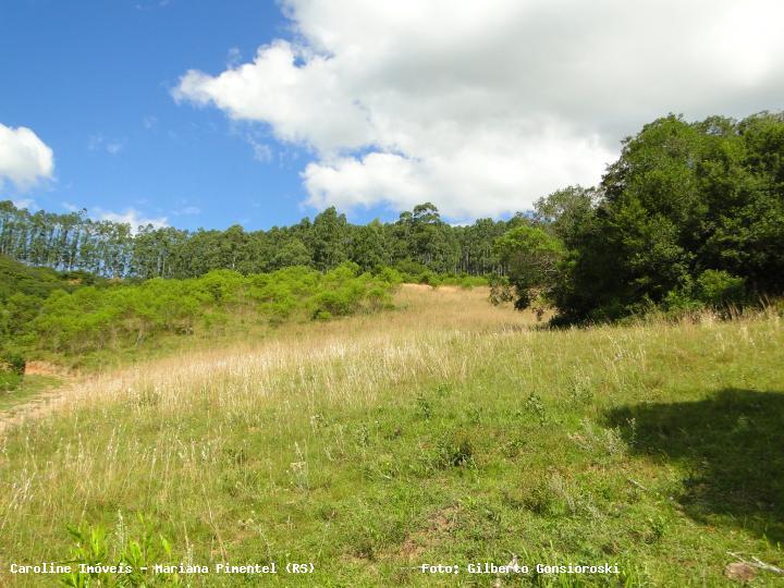 Fazenda à venda com 3 quartos, 160000m² - Foto 14