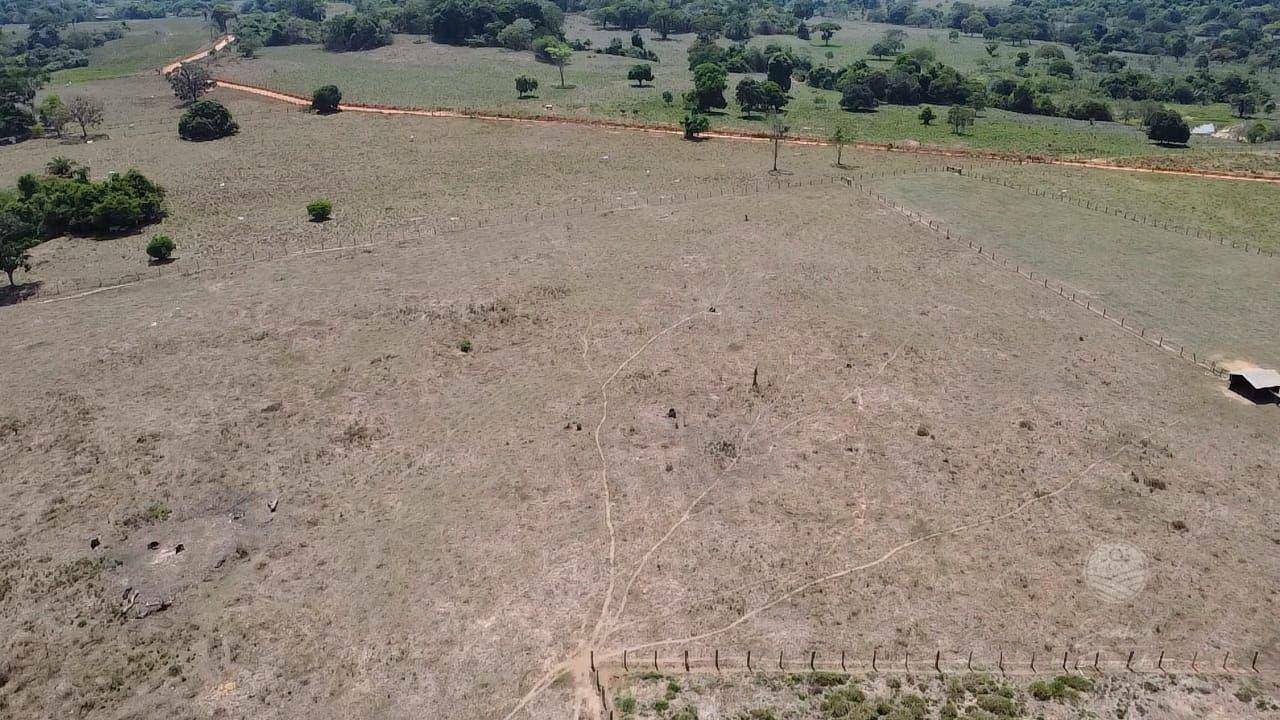 Fazenda-Sítio-Chácara, 214 hectares - Foto 4