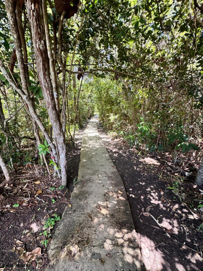 Terreno à venda, 800m² - Foto 3