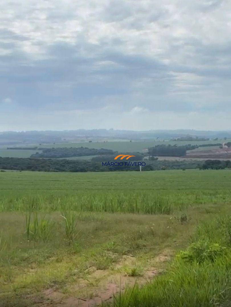 Sítio, 85 hectares - Foto 4