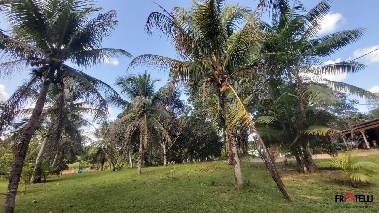 Chácara à venda com 2 quartos, 12000m² - Foto 15