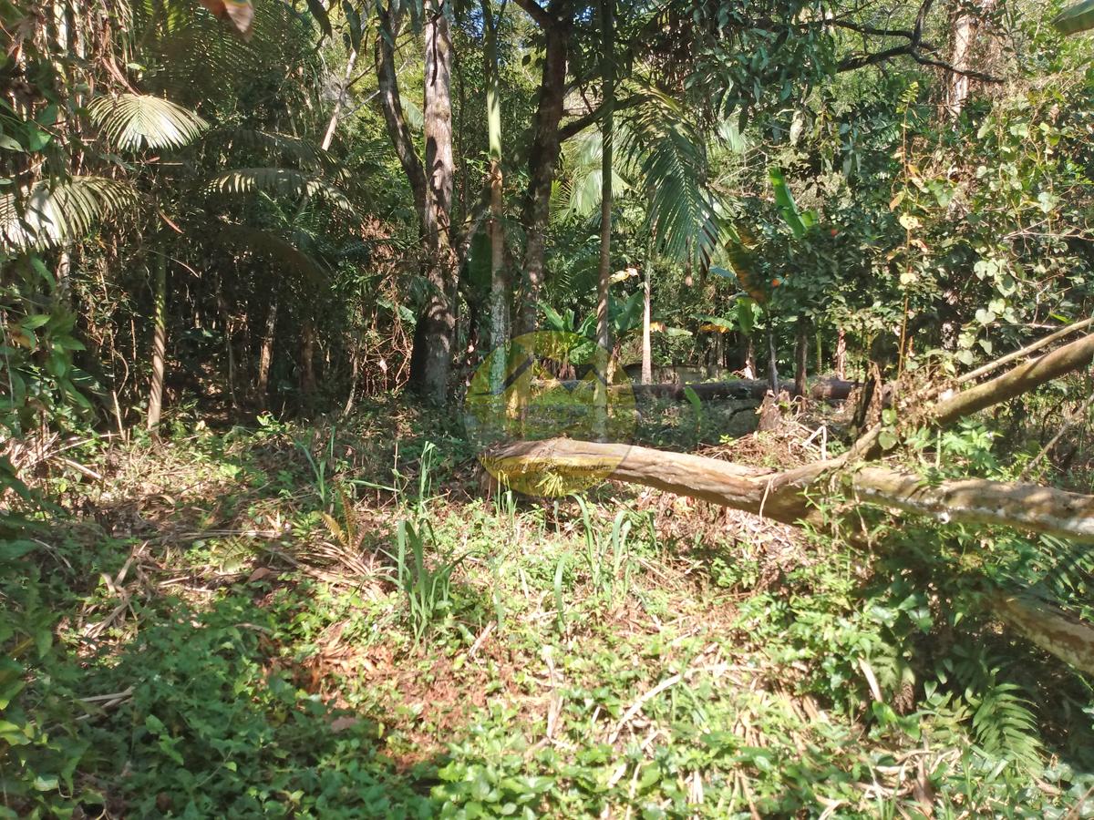 Fazenda à venda, 4m² - Foto 20