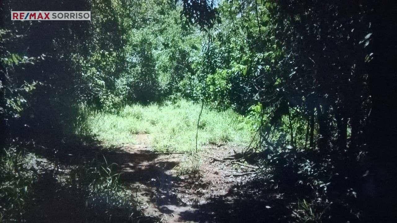 Fazenda à venda com 4 quartos, 242000M2 - Foto 2