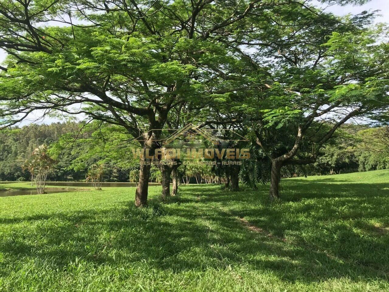 Fazenda à venda com 3 quartos, 14m² - Foto 18