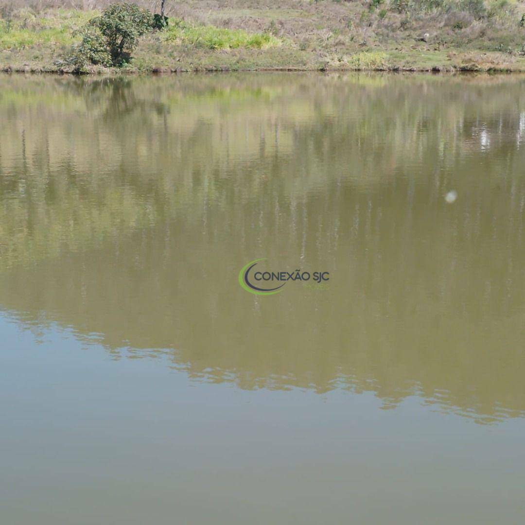 Fazenda à venda com 3 quartos, 1452000M2 - Foto 8